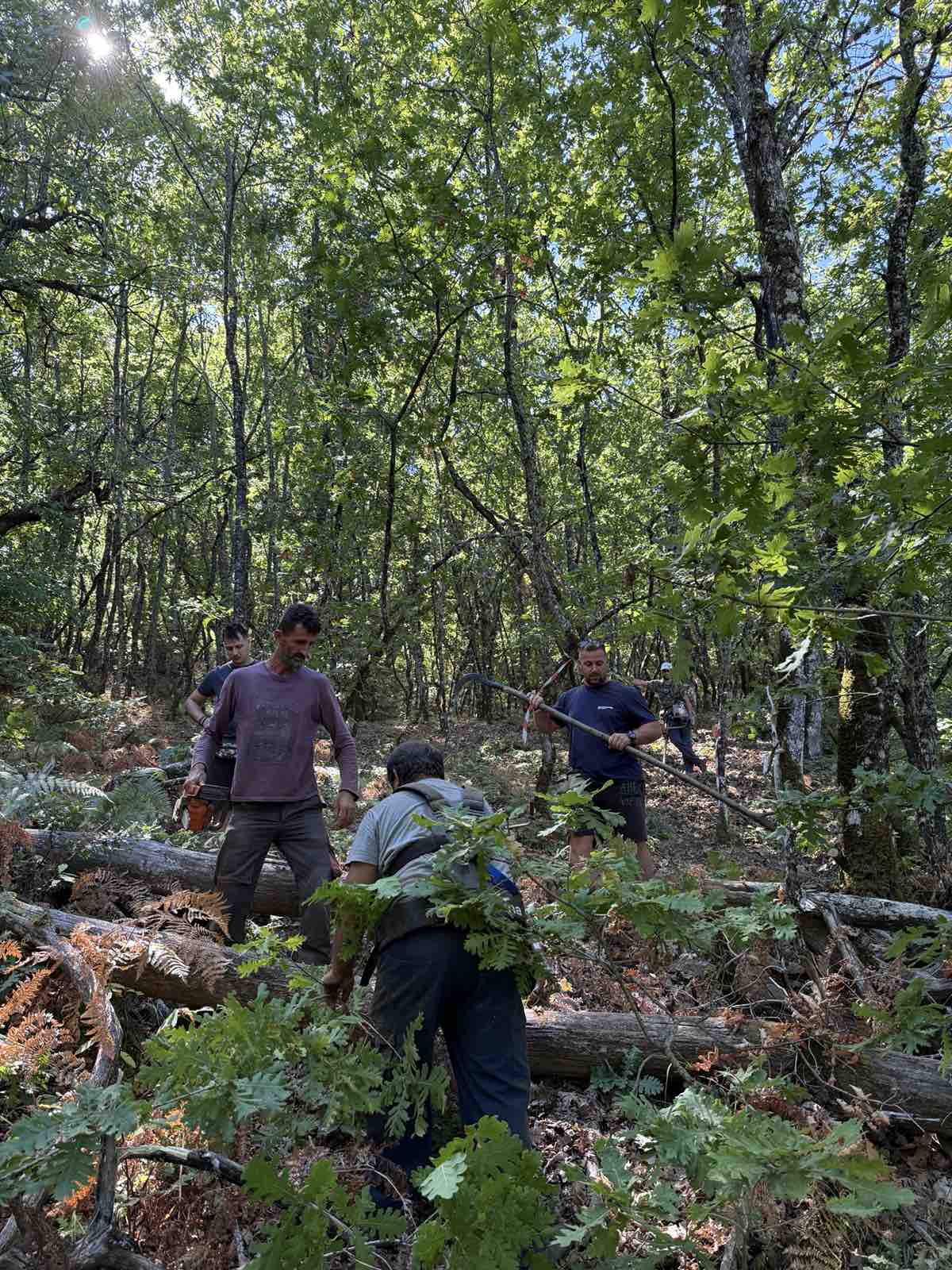 Εθελοντικός καθαρισμός μονοπατιών